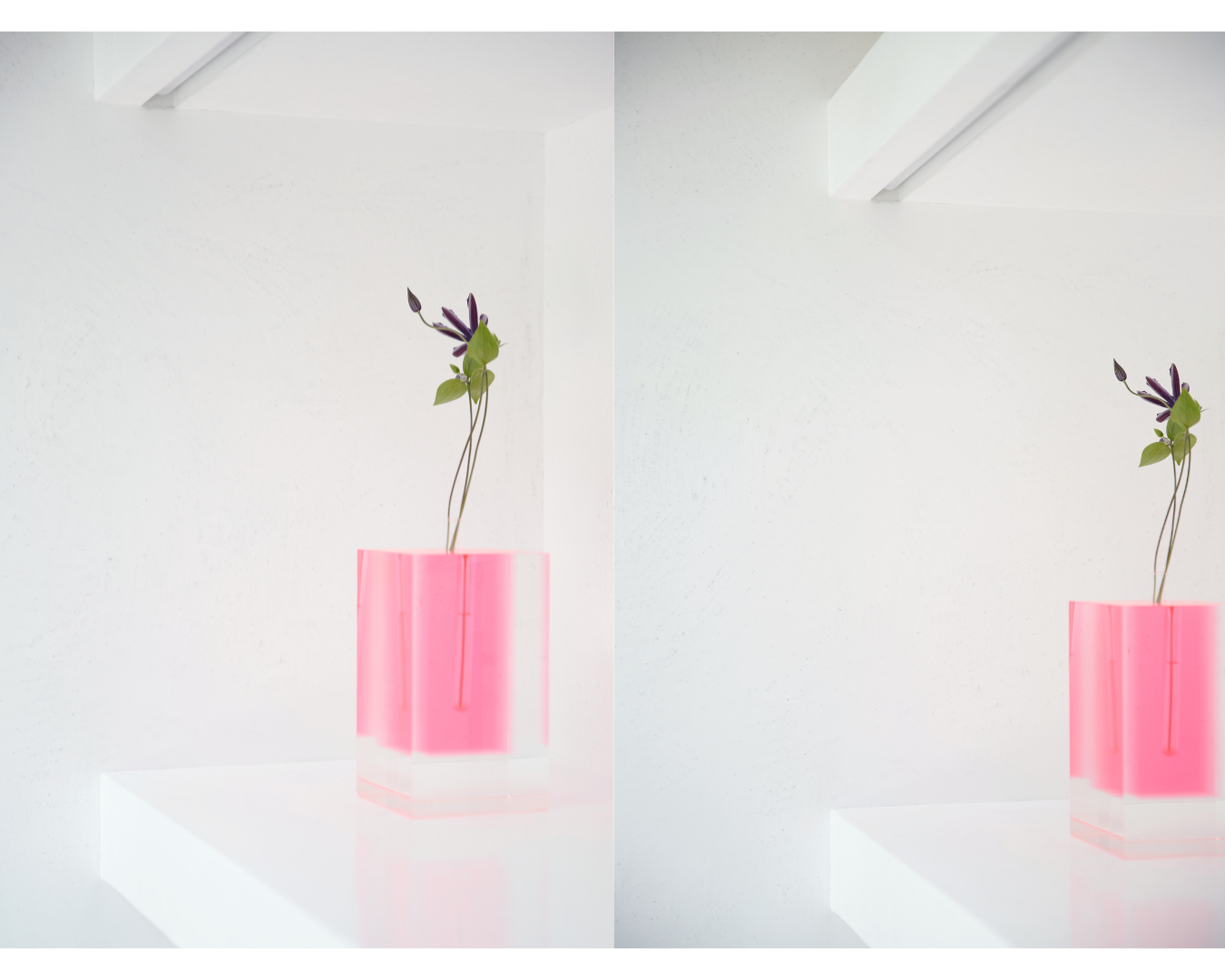 MADISONBLUE オンラインストア / マディソンブルー公式通販